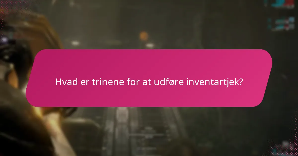Hvad er trinene for at udføre inventartjek?